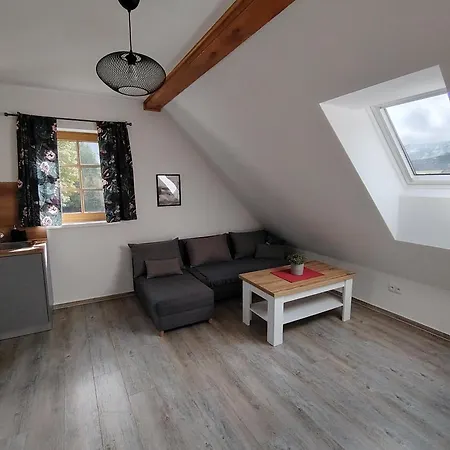 Apartmany Orlicke Zahori 컨트리하우스