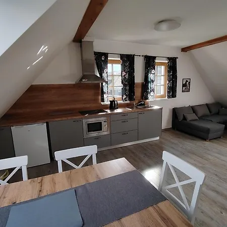 Apartmany Orlicke Zahori Εξοχικό σπίτι Orlicke Zahori