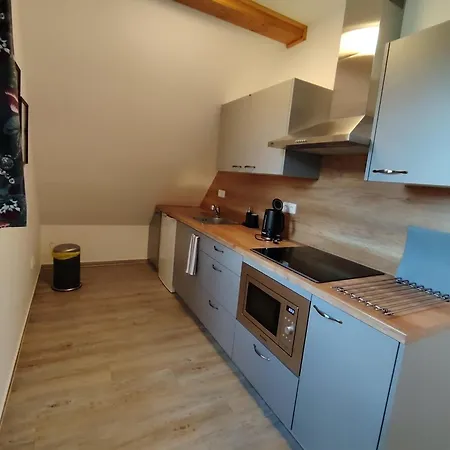 Apartmany Orlicke Zahori 컨트리하우스 *