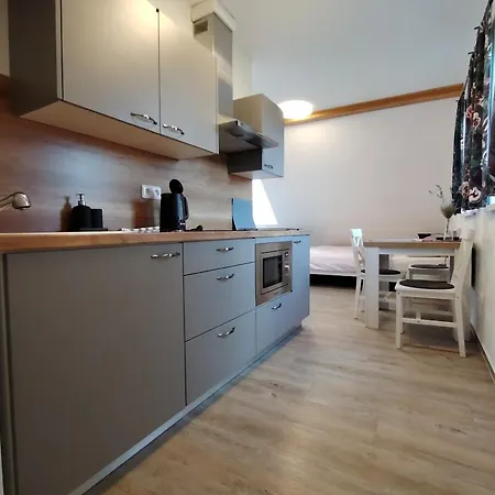 컨트리하우스 Apartmany Orlicke Zahori Orlicke Zahori