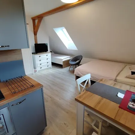 Apartmany Orlicke Zahori Εξοχικό σπίτι Orlicke Zahori