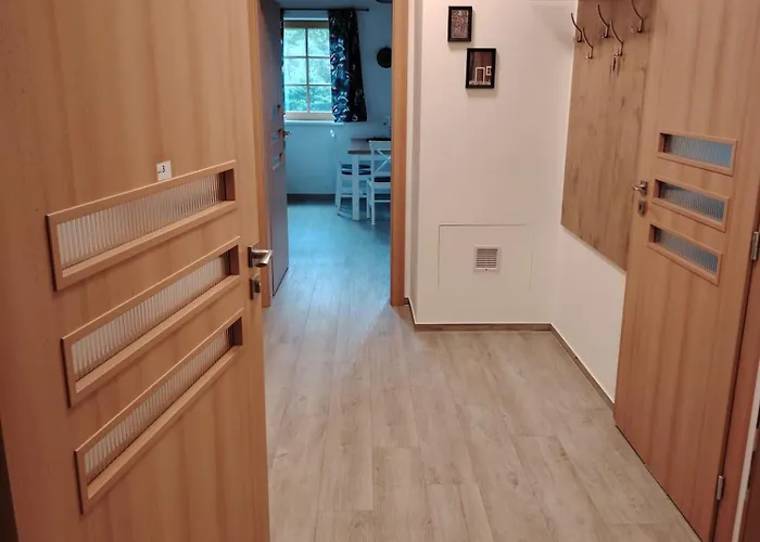 Apartmany Orlicke Zahori Orlické Záhoří
