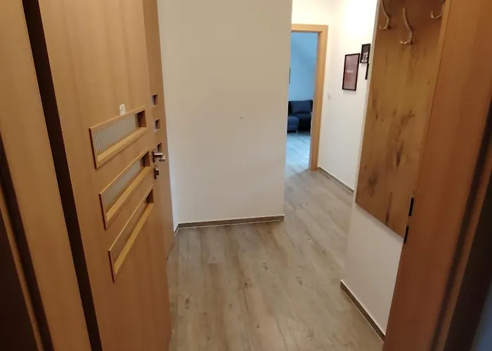 Apartmany Orlicke Zahori カントリーハウス *