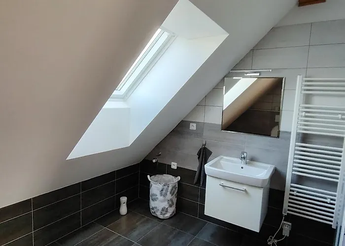Apartmany Orlicke Zahori Orlické Záhoří