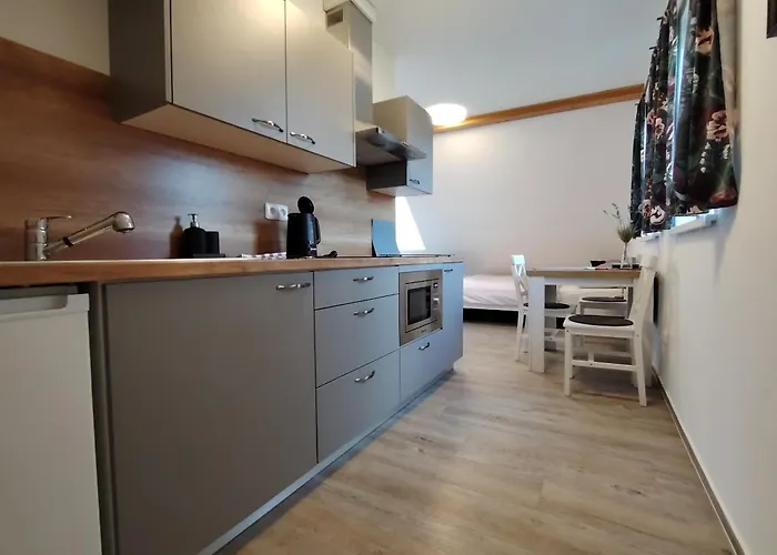 カントリーハウス Apartmany Orlicke Zahori Orlické Záhoří